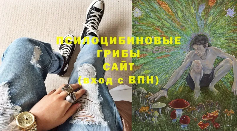 OMG ТОР  Дубовка  Псилоцибиновые грибы Psilocybe  даркнет сайт 